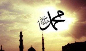 image_search_1759226443002